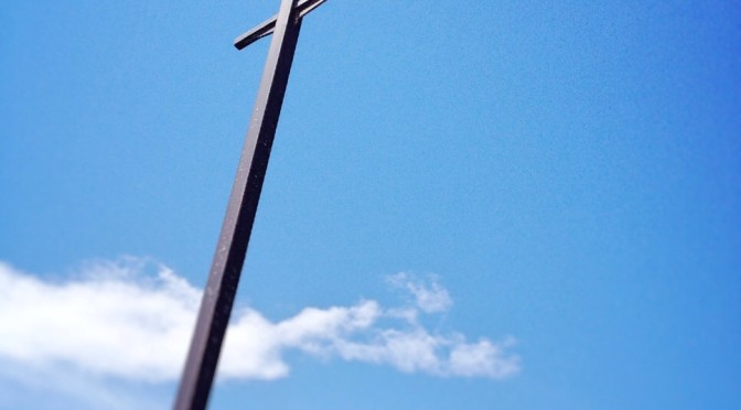 イエロースパッドの写真広場