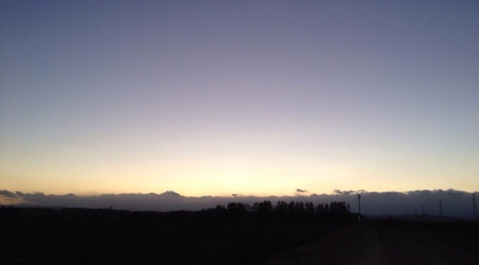 イエロースパッドの写真広場2