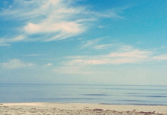 イエロースパッドの写真広場4〜暑いときは海