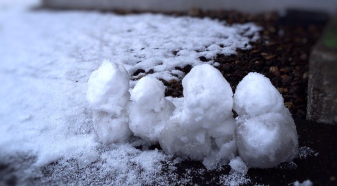 イエロースパッドの写真広場6〜雪だぁ…