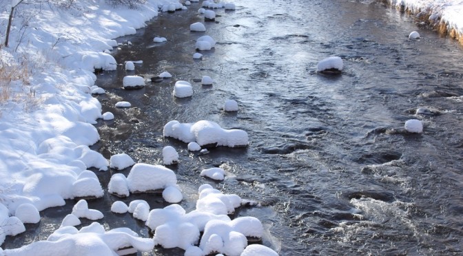 イエロースパッドの写真広場7〜エネルギーの回収ついでに