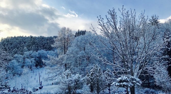 イエロースパッドの写真広場10〜薄化粧