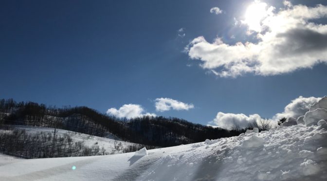 イエロースパッドの写真広場11〜綺麗な青空だなぁ〜