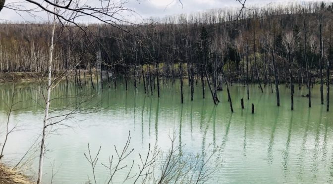 イエロースパッドの写真広場12〜青い池